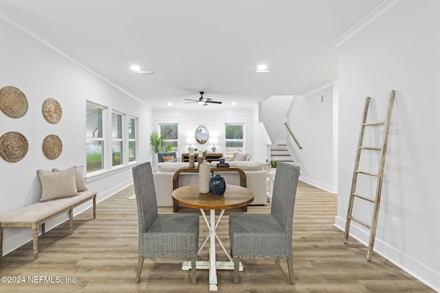 dining space with crown molding, ceiling fan, and light hardwood / wood-style floors