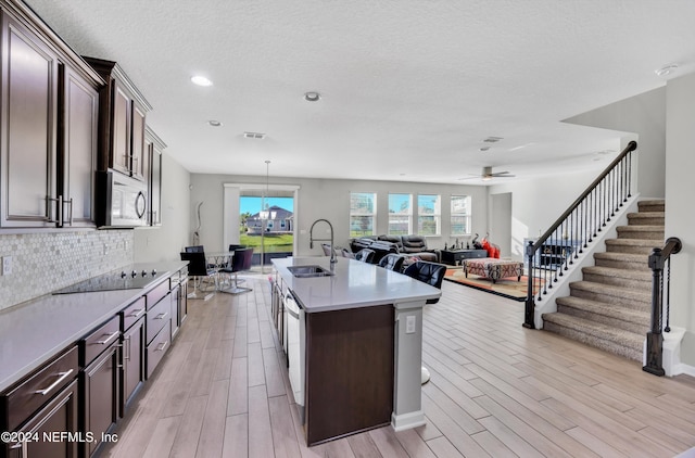 kitchen featuring dark brown cabinetry, sink, an island with sink, ceiling fan with notable chandelier, and light wood-type flooring