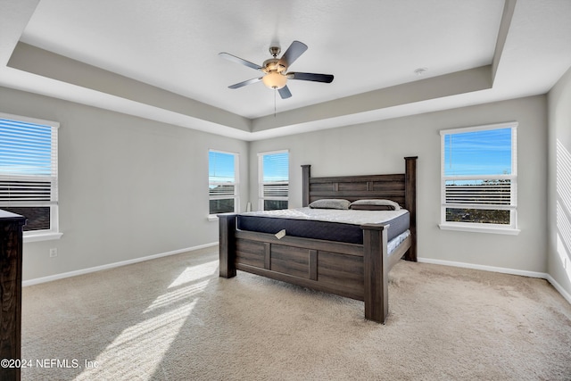 carpeted bedroom featuring a raised ceiling and ceiling fan