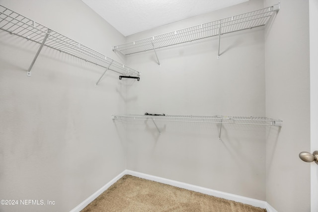 spacious closet with carpet flooring