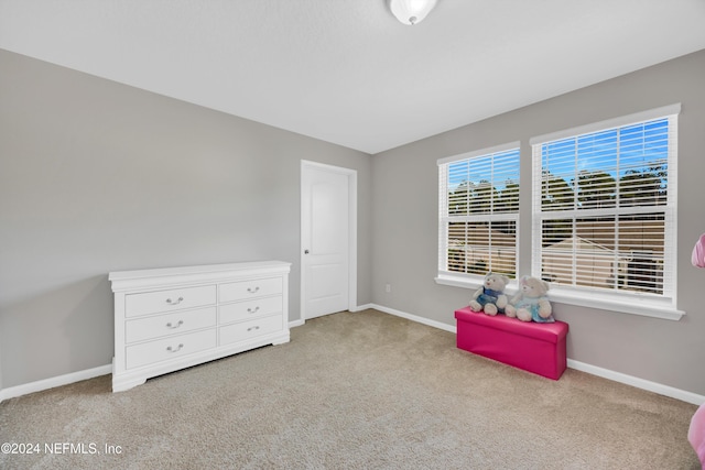 interior space with light colored carpet