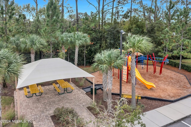 view of jungle gym