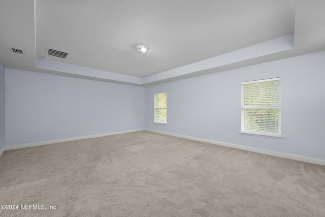 empty room with a raised ceiling, light colored carpet, and a textured ceiling