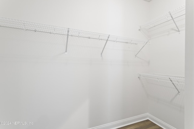 walk in closet featuring hardwood / wood-style flooring