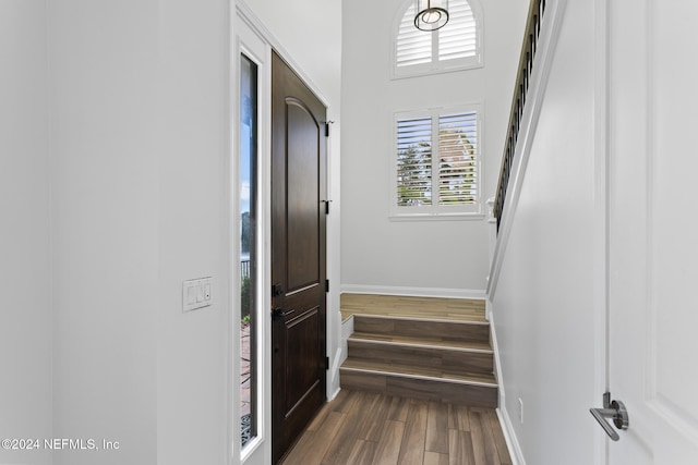 staircase featuring wood-type flooring