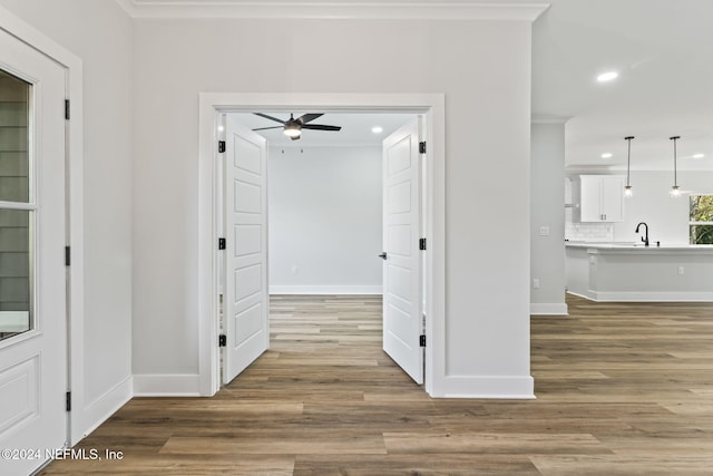 hallway featuring ornamental molding, sink, and hardwood / wood-style floors