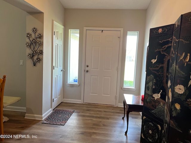 foyer with wood-type flooring