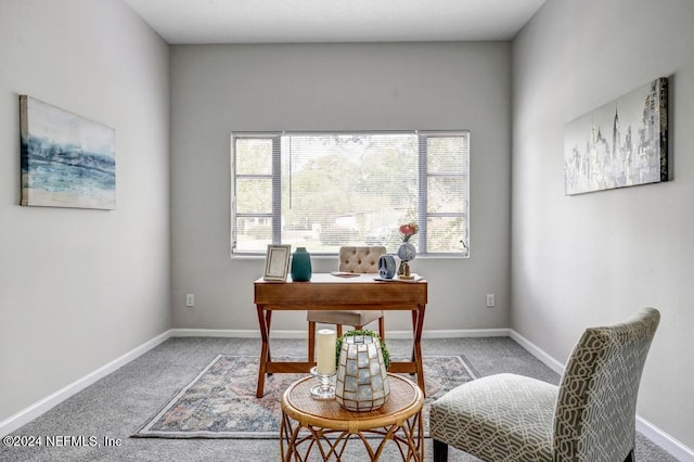 home office with carpet flooring