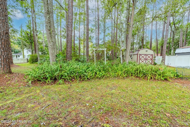 view of yard featuring a shed