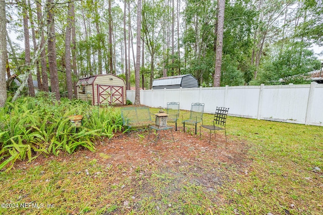 view of yard featuring a storage shed