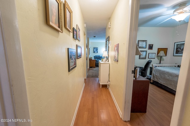 hall featuring light hardwood / wood-style flooring