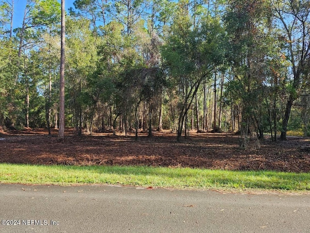 202 First St, Georgetown FL, 32139 land for sale