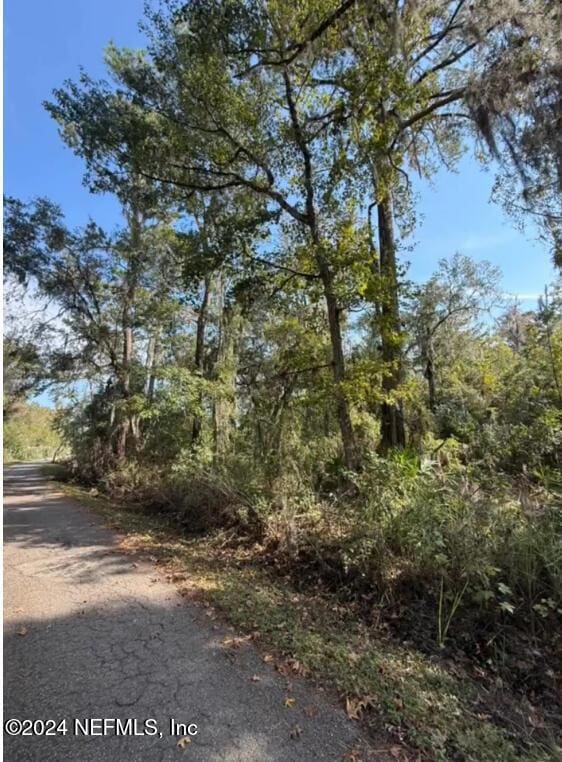 900 River Mist Bnd, Palatka, FL 32177 - photo 4