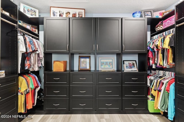 spacious closet with light wood-type flooring