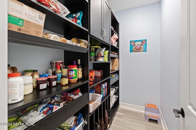 view of pantry