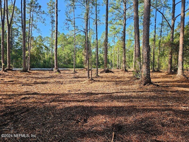 110 Carteret Rd, Georgetown FL, 32139 land for sale