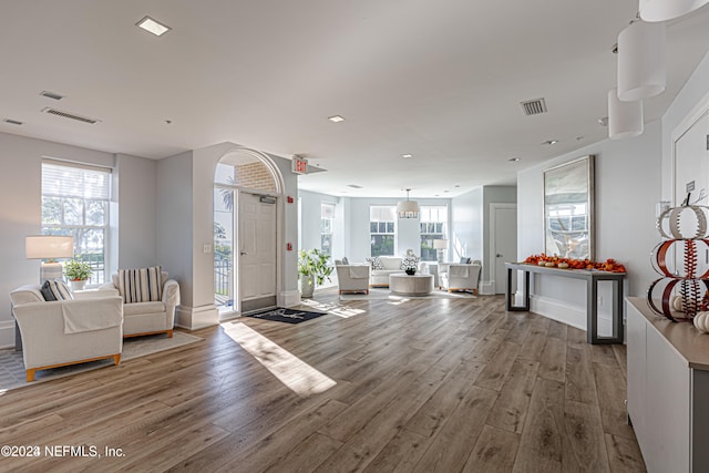 foyer featuring a healthy amount of sunlight and wood-type flooring