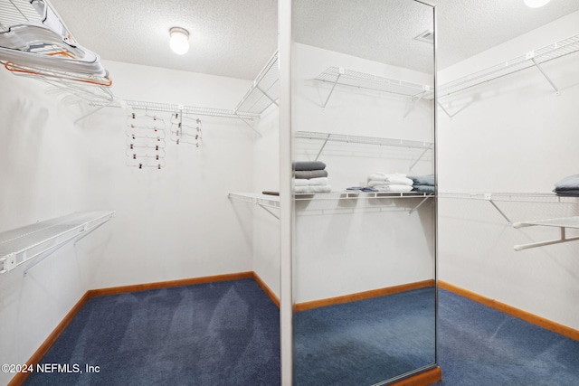 spacious closet featuring carpet floors