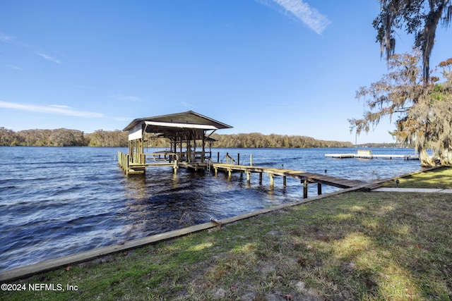 dock area with a water view