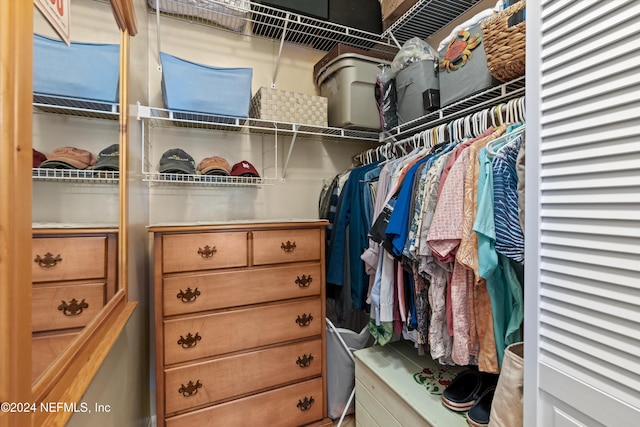 view of spacious closet