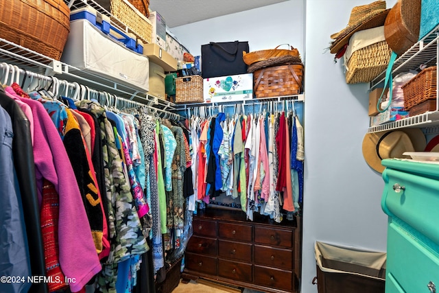 view of spacious closet