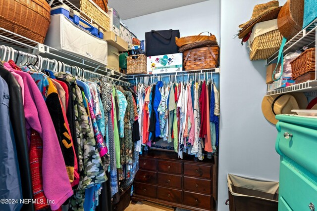 605 Fairway Dr Unit 205, Saint Augustine, FL 32084 - view of walk in closet