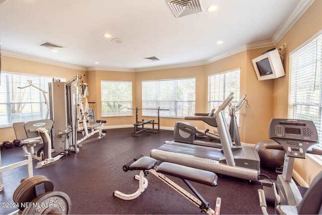 workout area with a wealth of natural light and crown molding