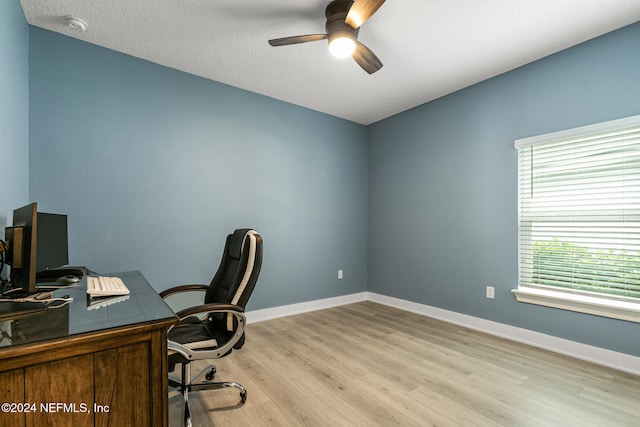 office area featuring ceiling fan, light wood-type flooring, a textured ceiling, and a wealth of natural light