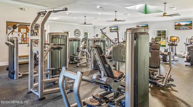 workout area with a textured ceiling, ceiling fan, and crown molding