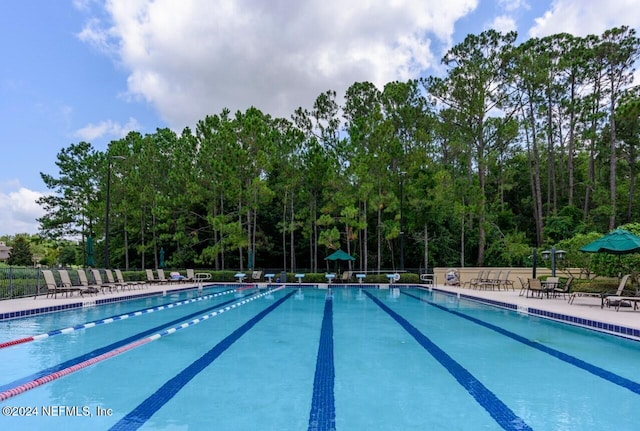 view of swimming pool