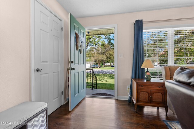 entrance foyer with dark hardwood / wood-style flooring and a healthy amount of sunlight