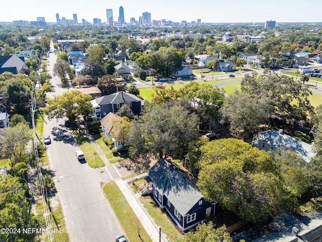 bird's eye view