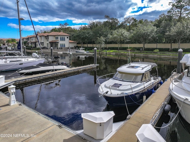 dock area with a water view