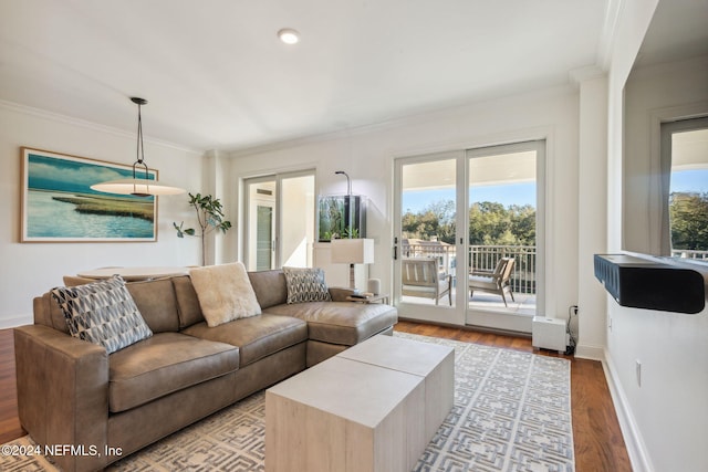 living room featuring light hardwood / wood-style flooring, a healthy amount of sunlight, and crown molding