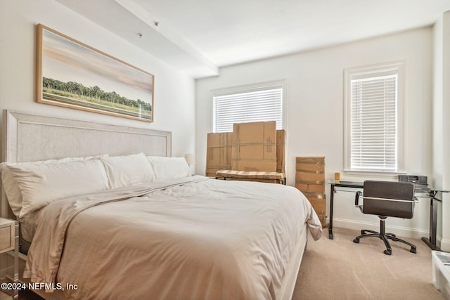 bedroom with light colored carpet