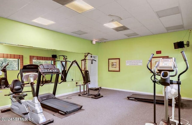 workout area featuring a paneled ceiling and carpet floors