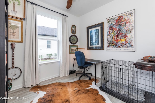 office with ceiling fan, a healthy amount of sunlight, and light wood-type flooring