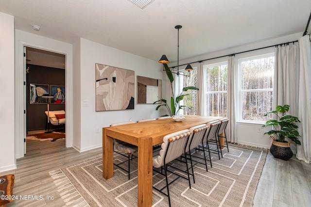 dining room featuring wood-type flooring