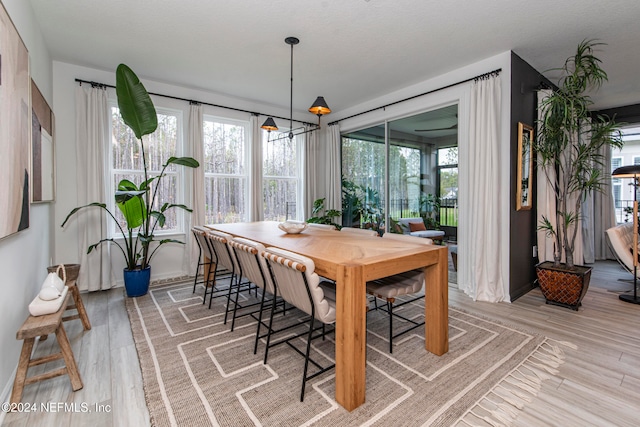 dining room featuring a textured ceiling, light hardwood / wood-style flooring, and a wealth of natural light