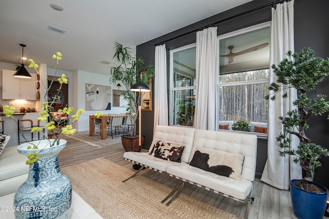 living room featuring light hardwood / wood-style floors