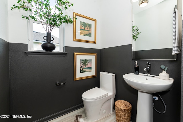 bathroom with hardwood / wood-style floors and toilet