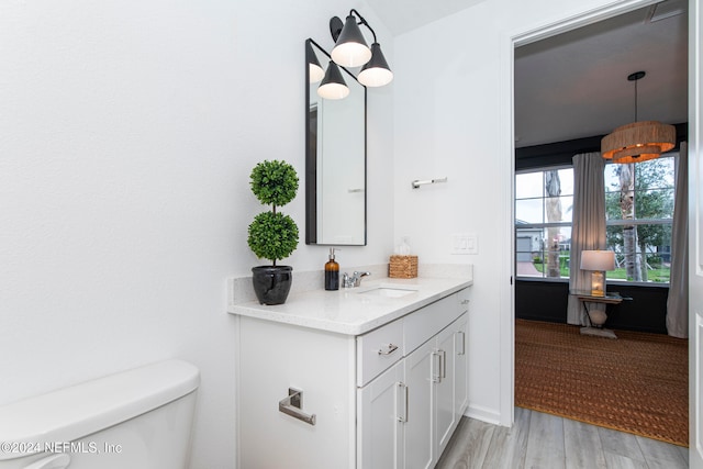 bathroom with hardwood / wood-style flooring, vanity, and toilet