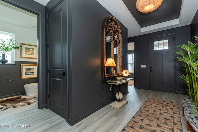 foyer entrance with a tray ceiling, light hardwood / wood-style flooring, and a healthy amount of sunlight