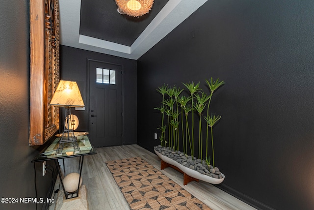 foyer featuring hardwood / wood-style flooring and a raised ceiling