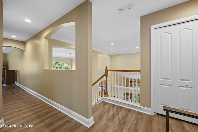 hallway with wood-type flooring, crown molding, and baseboard heating