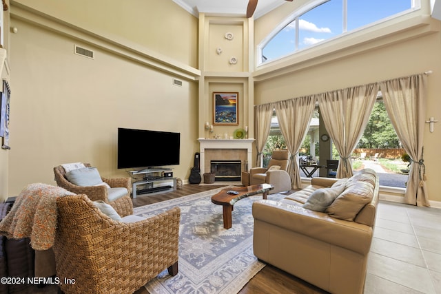 living room featuring plenty of natural light, a high ceiling, and hardwood / wood-style flooring