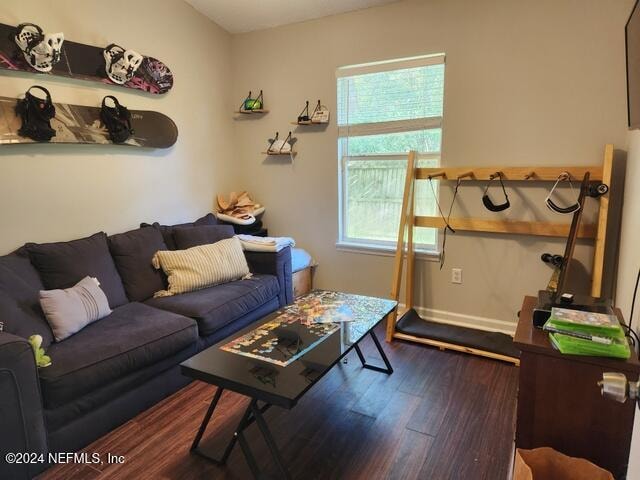 living room featuring dark wood-type flooring