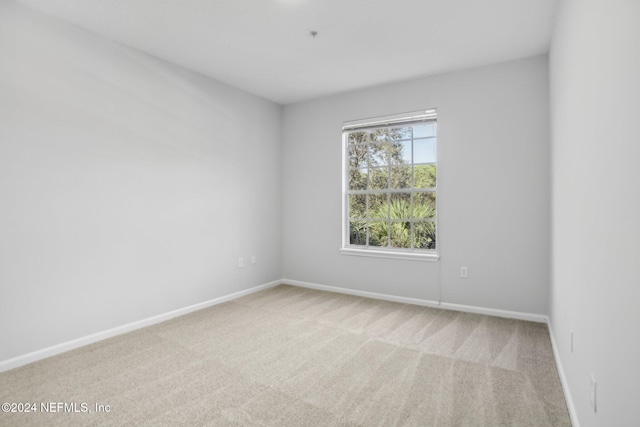 spare room featuring light carpet