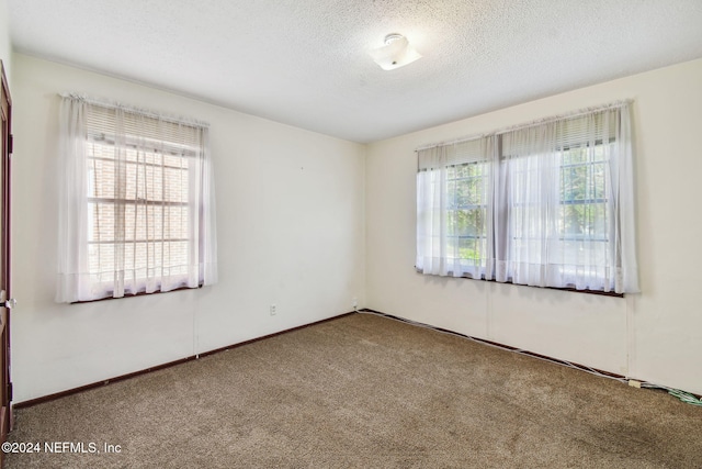 carpeted spare room with a healthy amount of sunlight and a textured ceiling