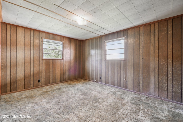 spare room featuring wooden walls, carpet floors, and a wealth of natural light